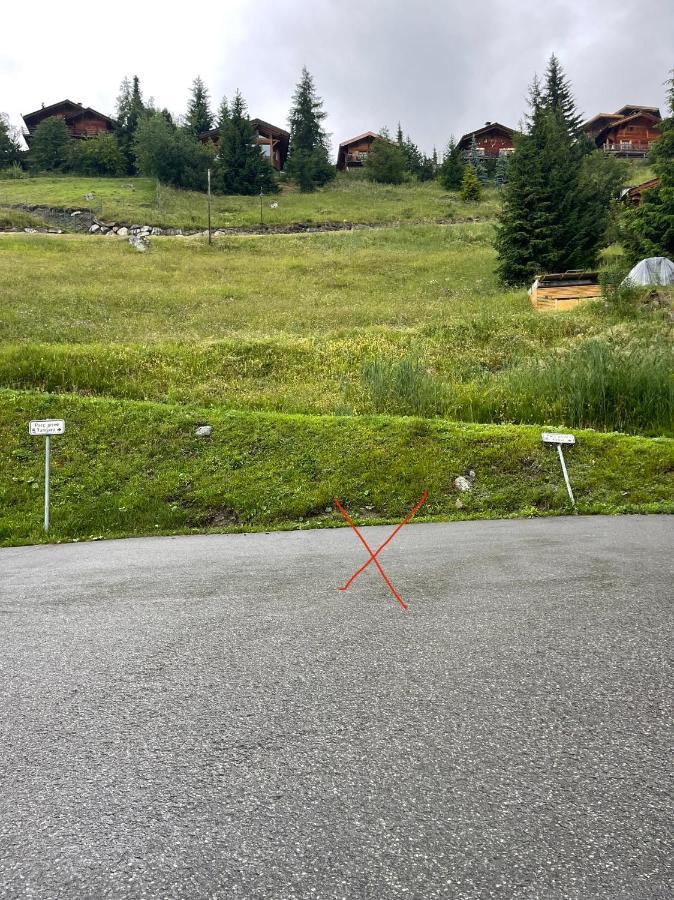 Superbe Appartement Avec Vue Et Parking Gratuit Bagnes Eksteriør bilde